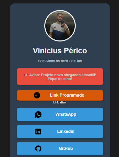 Imagem do projeto LinkHub